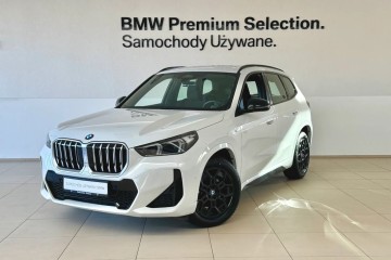 sDrive18d, Faktura VAT, Salon PL